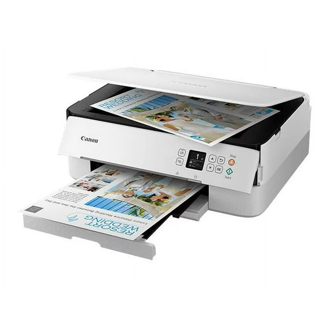 Canon PIXMA TS6420 Wireless Inkjet All-in-One Printer