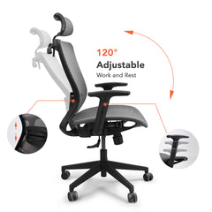 FLEXISPOT Ergonomic Back Mesh Swivel Height Adjustable Office Chair with Armrests Gray