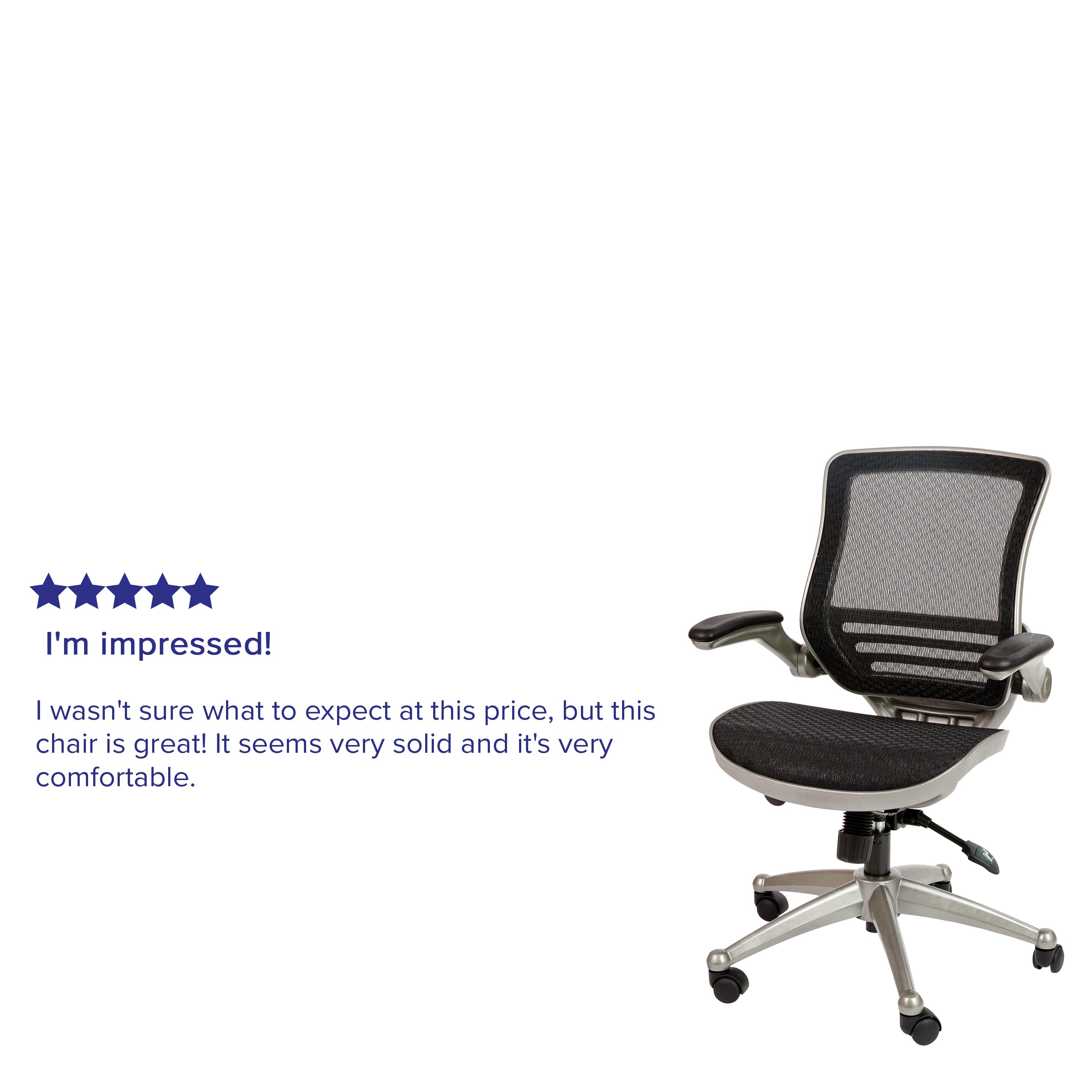 Flash Furniture Mid-Back Transparent Black Mesh Executive Swivel Office Chair with Graphite Silver Frame and Flip-Up Arms