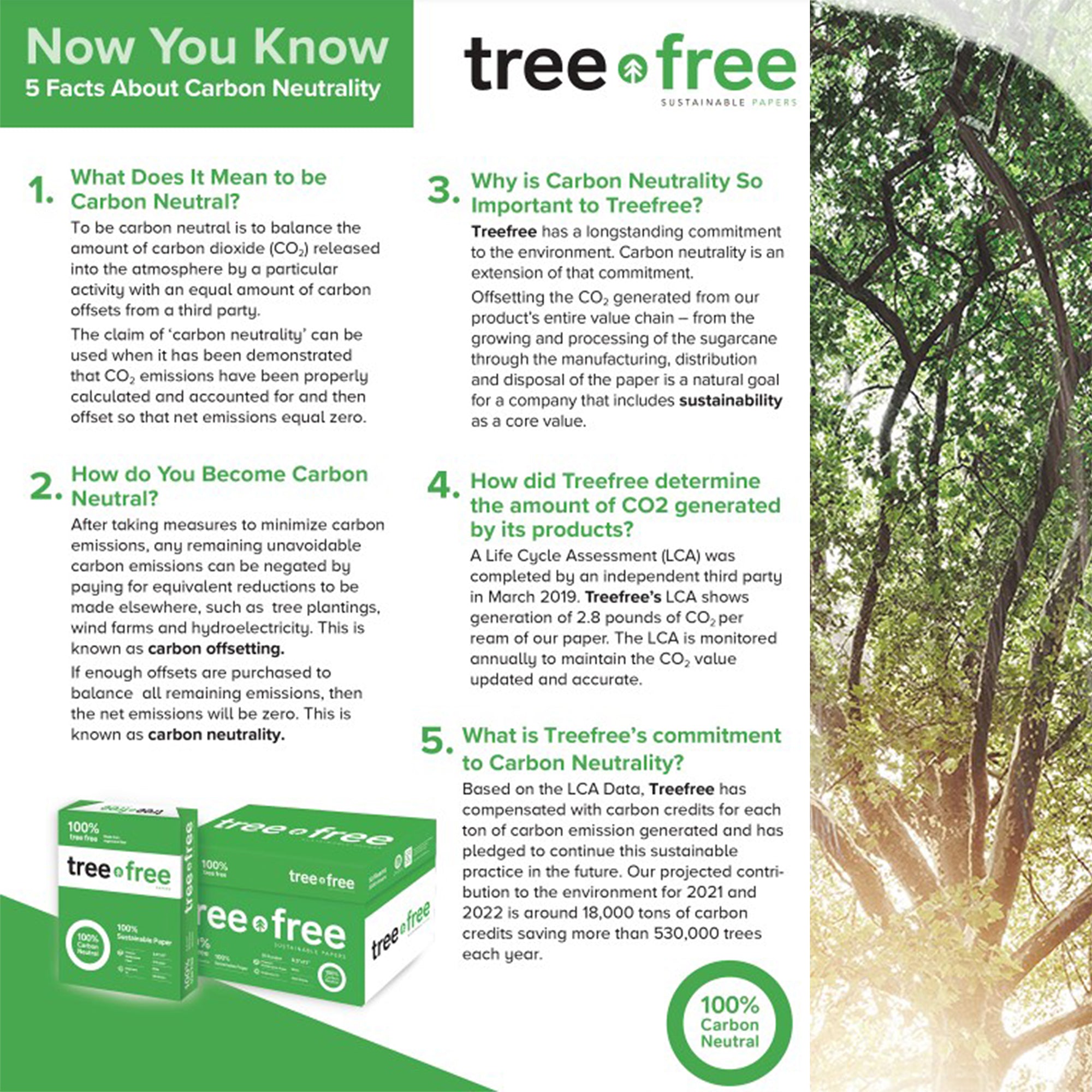 Tree Free Copy Paper, 20 LB, 8.5" x 11", 92 Bright, 100% Tree Free Carbon Neutral Acid Free (500/Ream)